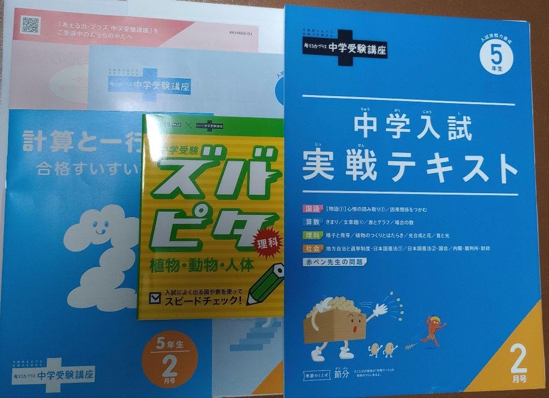 進研ゼミ 中学入試実戦テキスト四、五年生 チャレンジ 進研ゼミ 中学受験
